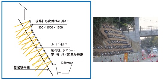 EPルートパイル　法面補強