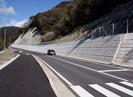 大型ブロック_NSS　道路